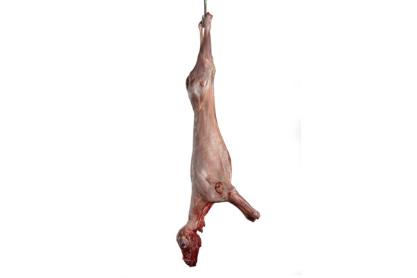 Cordero Lechal entero con cabeza y asadura